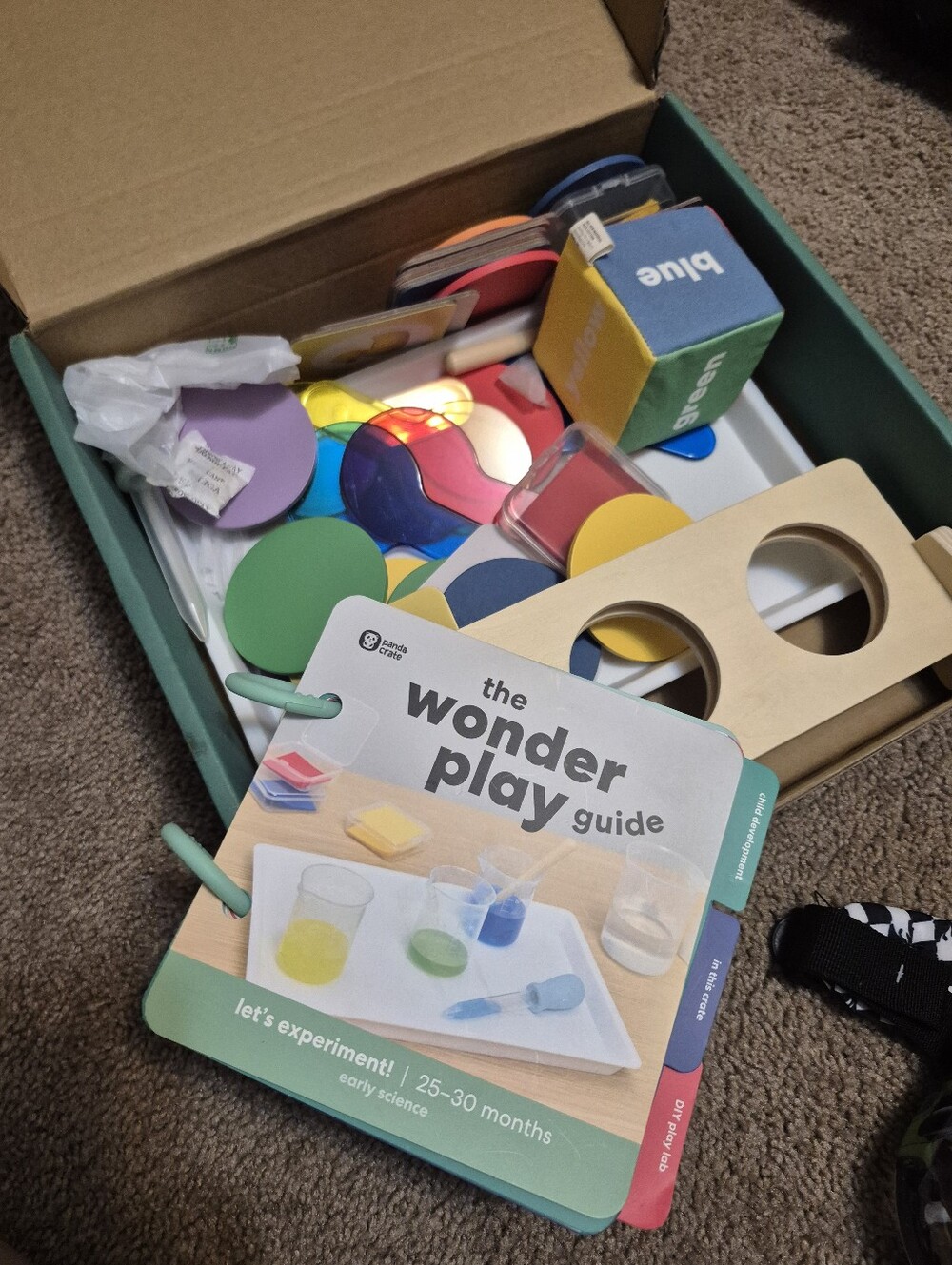 Early Learning Wonder Play Guide & Colorful Activity Set - Multi - Picture 1 of 12